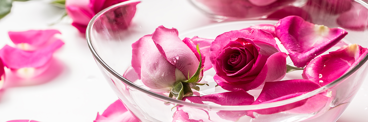 pink roses floating in a bowl of water