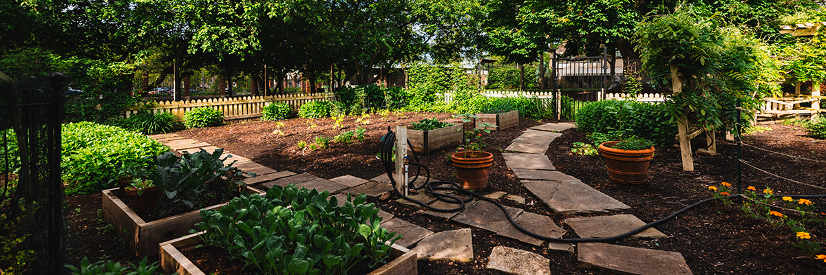 a large vegetable garden