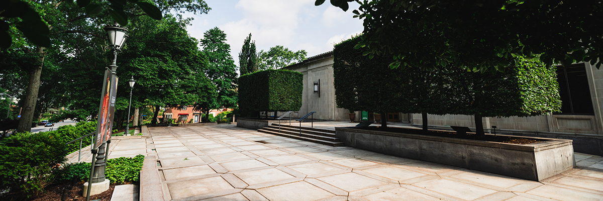 an outdoor terrace featuring large hedges
