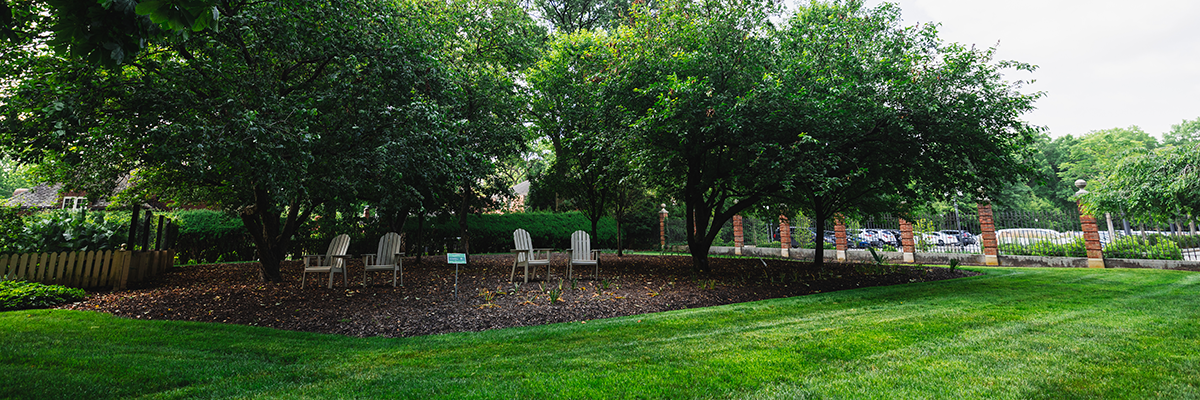 an outdoor space surrounded by trees