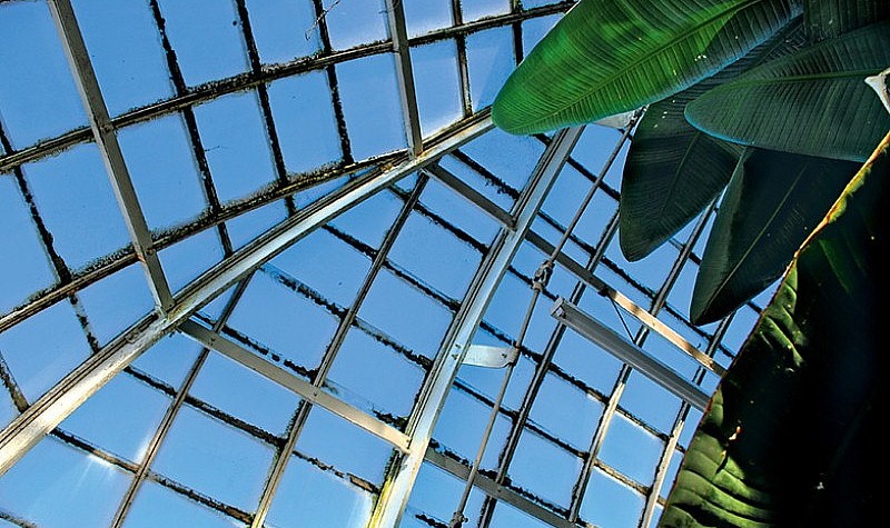 Greenhouse Glass