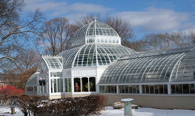 Greenhouse in Winter