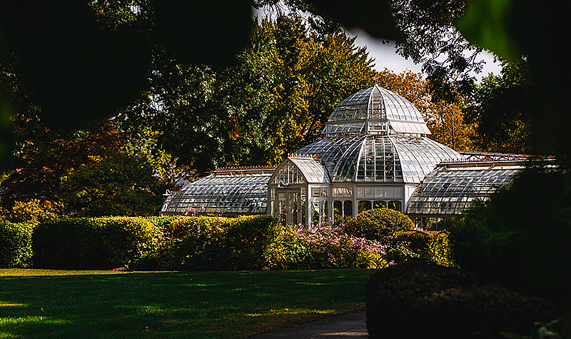 The Frick Greenhouse
