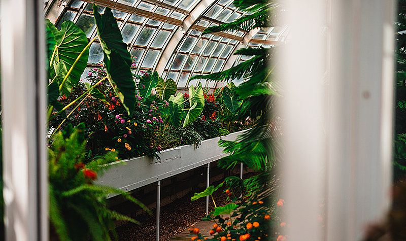 The Frick Greenhouse