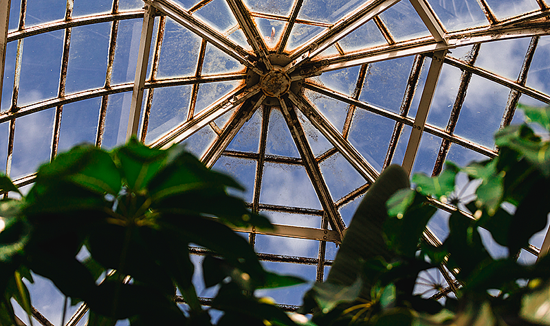 The Frick Greenhouse