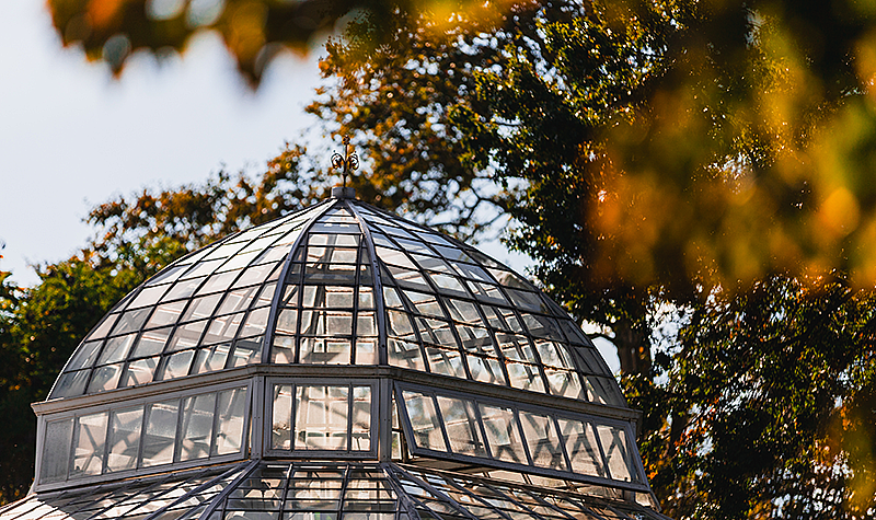 The Frick Greenhouse