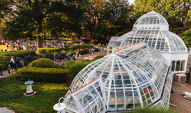 Summer Fridays at the Frick