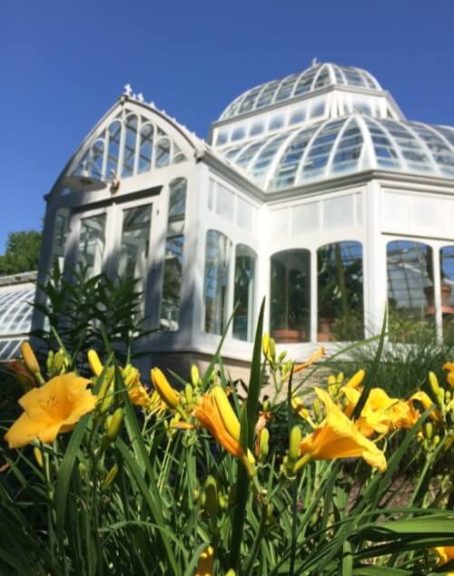 a greenhouse with flowers in the foreground