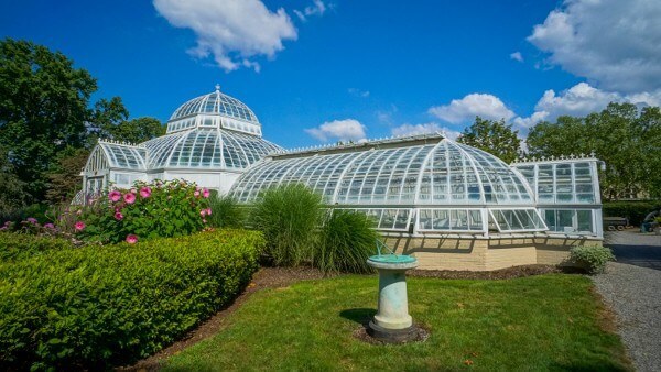 a glass house surrounded by greenery