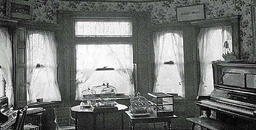 Photography and the Frick Pets