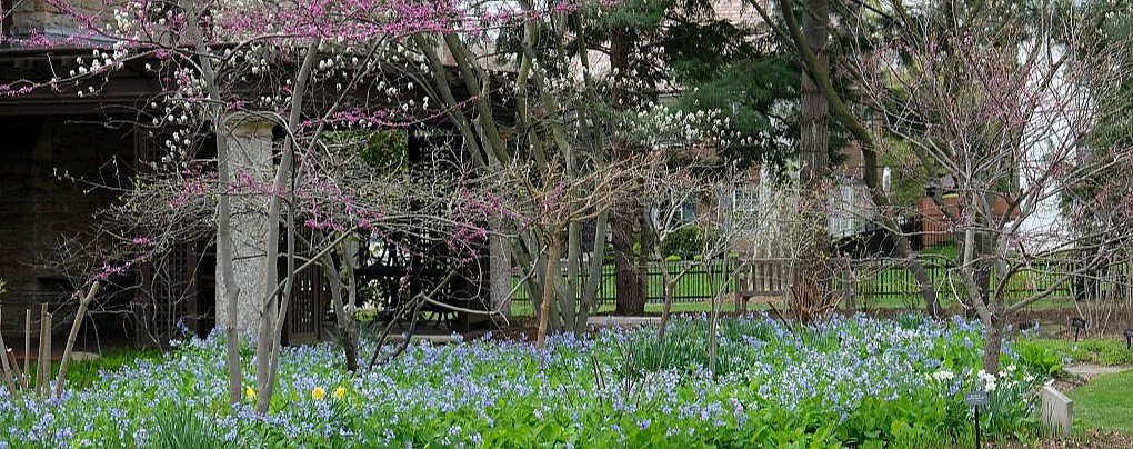 A Quick Spin Around the Gardens
