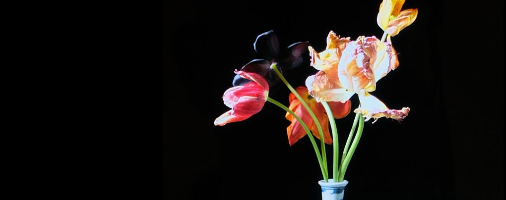 Transforming Five Tulips in a Wan Li Vase